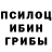 Псилоцибиновые грибы Magic Shrooms Xobbi LiFe