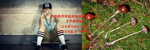 не бодяженный Верея