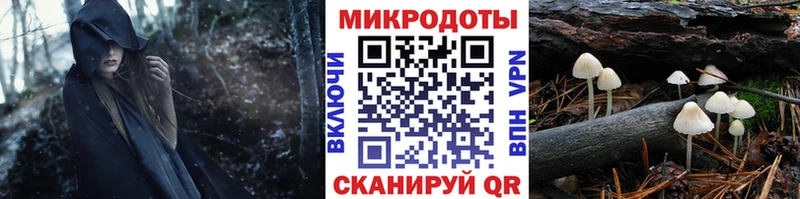 это официальный сайт  продажа наркотиков  Димитровград  Псилоцибиновые грибы Magic Shrooms 