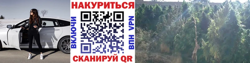 Марихуана Bruce Banner OMG вход Димитровград купить наркотики цена